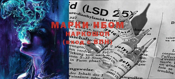 ПСИЛОЦИБИНОВЫЕ ГРИБЫ Магас