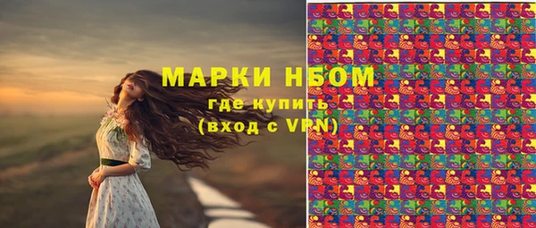 ПСИЛОЦИБИНОВЫЕ ГРИБЫ Магас
