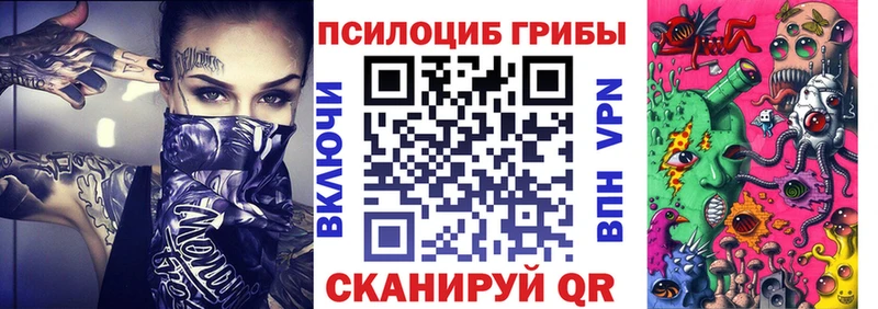 Псилоцибиновые грибы GOLDEN TEACHER  omg ССЫЛКА  Павловский Посад 